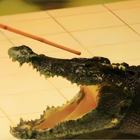 📚 电子书管理新体验：CWA 让 Calibre 更智能 🚀