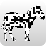 ZXing：一个让扫码变得轻松的开源利器，你还在为低效发愁吗？